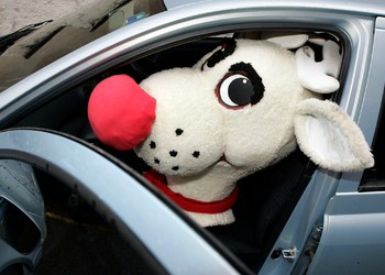 Mascotte 5